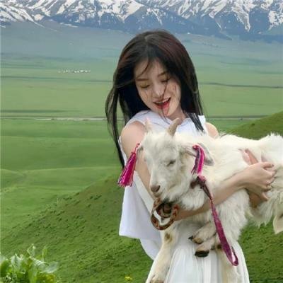 春情妃子